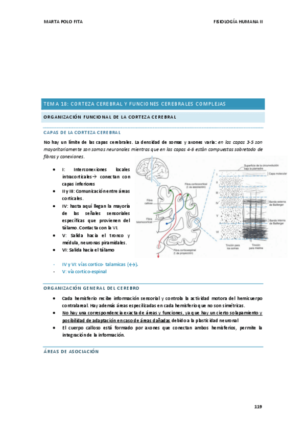 Miniatura del documento TEMA-17.FISIO.pdf