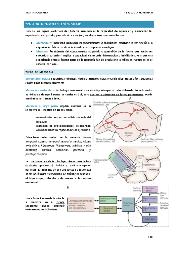 Miniatura del documento TEMA-19.FISIO.pdf