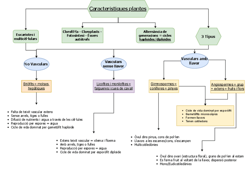 Miniatura del documento resum-cidvg.pdf