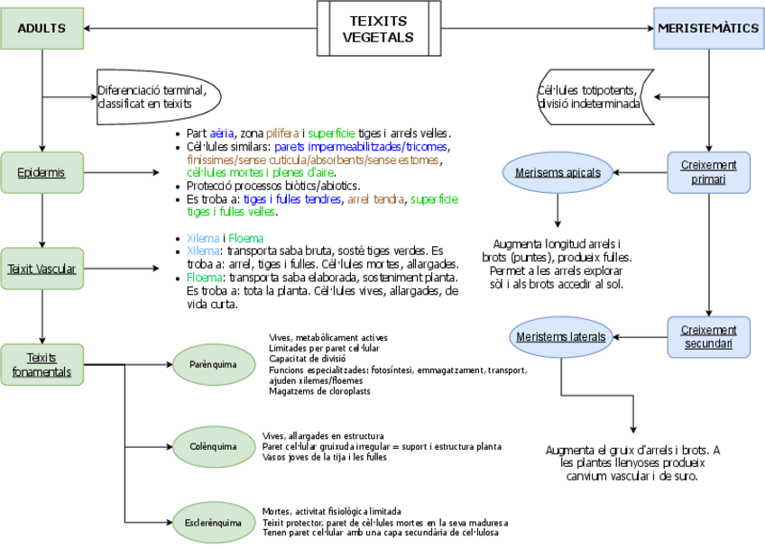 Miniatura del documento resum-teixits.pdf
