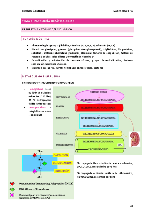 Miniatura del documento TEMA-6.-PG-I.pdf