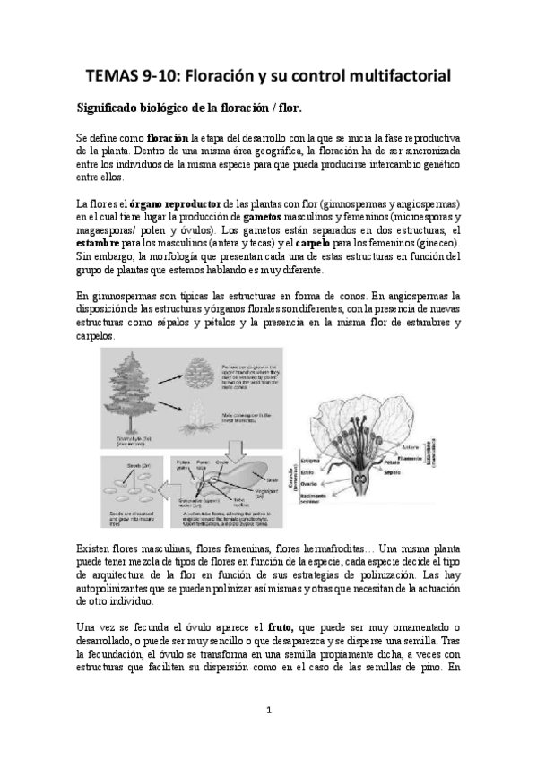 Miniatura del documento TEMAS-9-10-FISIOVEG2.pdf