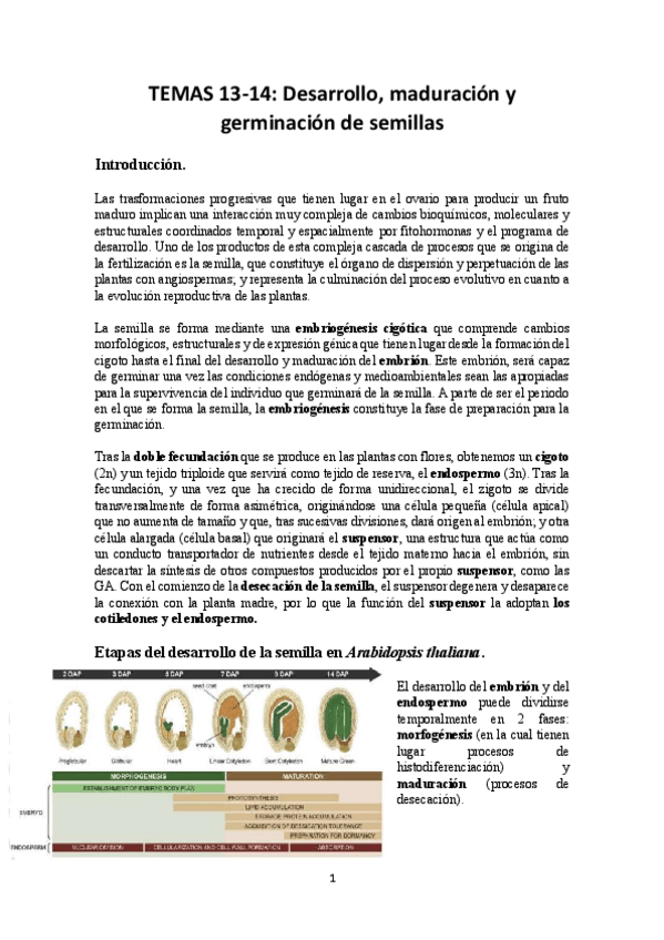 Miniatura del documento TEMAS-13-14-FISIOVEG-2.pdf