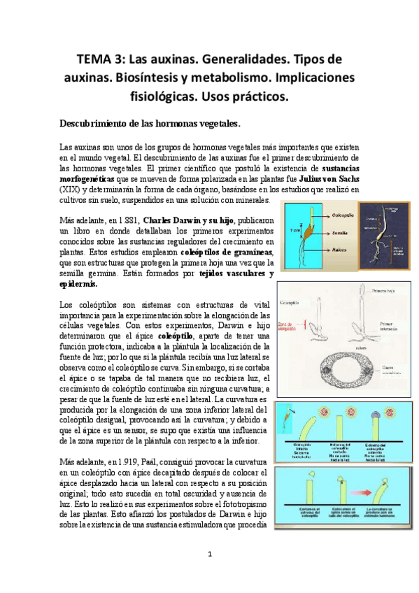 Miniatura del documento TEMA-3-FISIO-VEGETAL.pdf