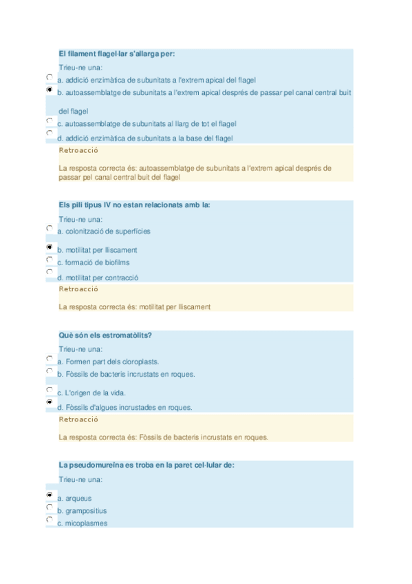 Miniatura del documento primer parcial.docx