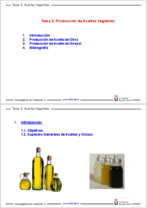 Miniatura del documento Tema-3-2.pdf