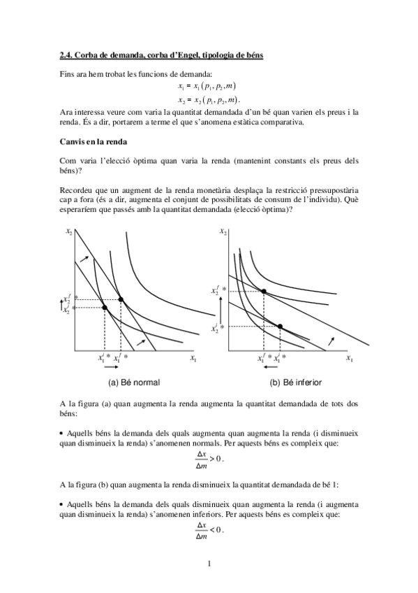 Miniatura del documento resum-20201109.pdf