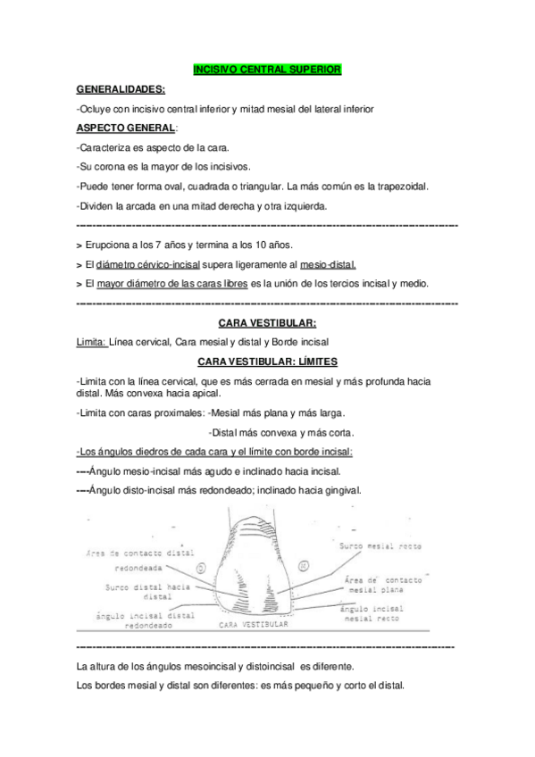 Miniatura del documento RESUMEN-ANATOMIA-INDIVIDUAL-DE-CADA-PIEZA-DENTAL.pdf
