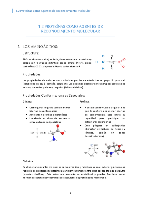 Miniatura del documento T.2-PROTEINAS-COMO-AGENTES-DE-RECONOCIMIENTO-MOLECULAR.pdf