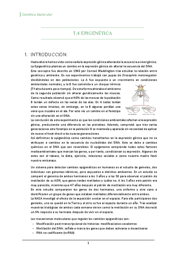 Miniatura del documento T4-Epigenetica.pdf