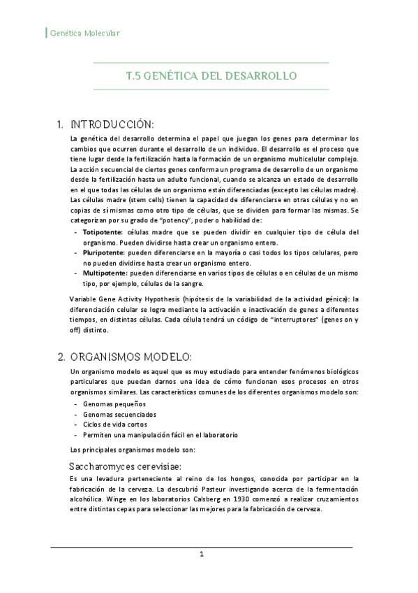 Miniatura del documento T5-Desarrollo.pdf
