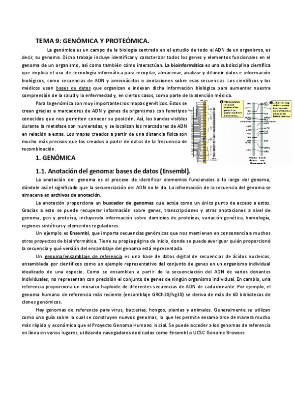 Miniatura del documento Tema-9.-Genomica-y-proteomica.pdf