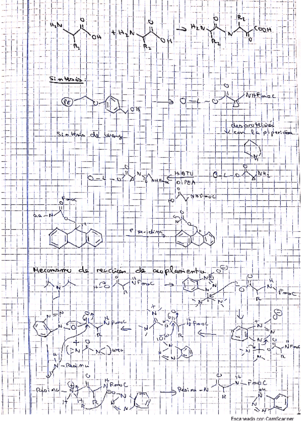 Miniatura del documento practica-7.pdf
