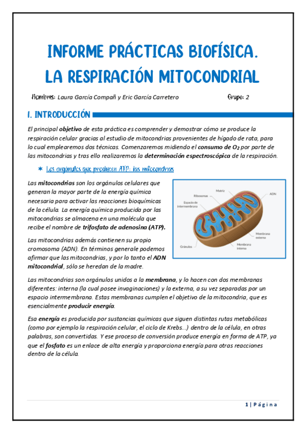 Miniatura del documento InformePracticasBiofisica.pdf
