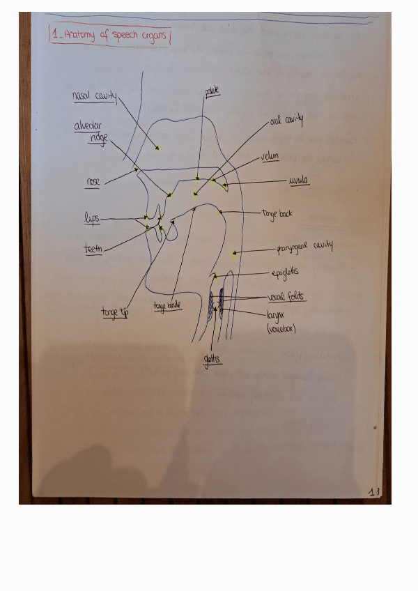 Miniatura del documento Phonetics.pdf