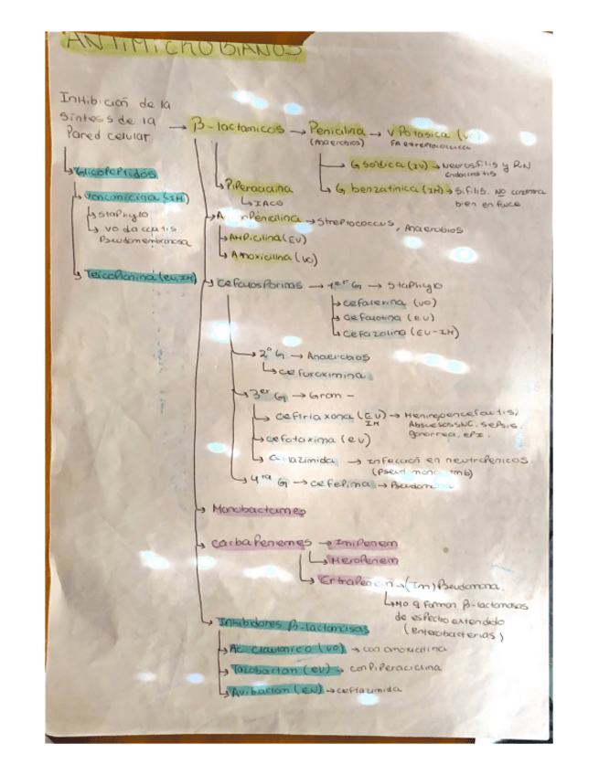 Miniatura del documento Antimicrobianos.pdf