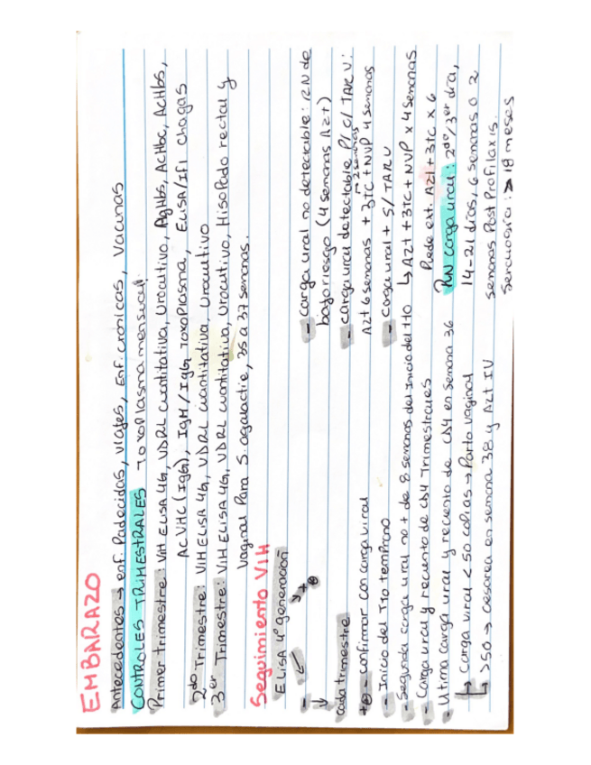 Miniatura del documento EMBARAZO.pdf