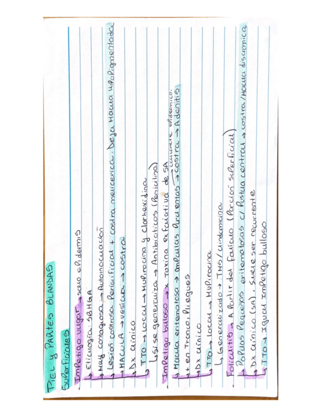 Miniatura del documento Piel-Y-Pb.pdf