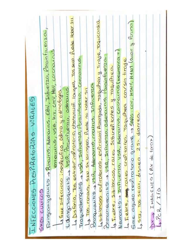 Miniatura del documento Respiratorio.pdf