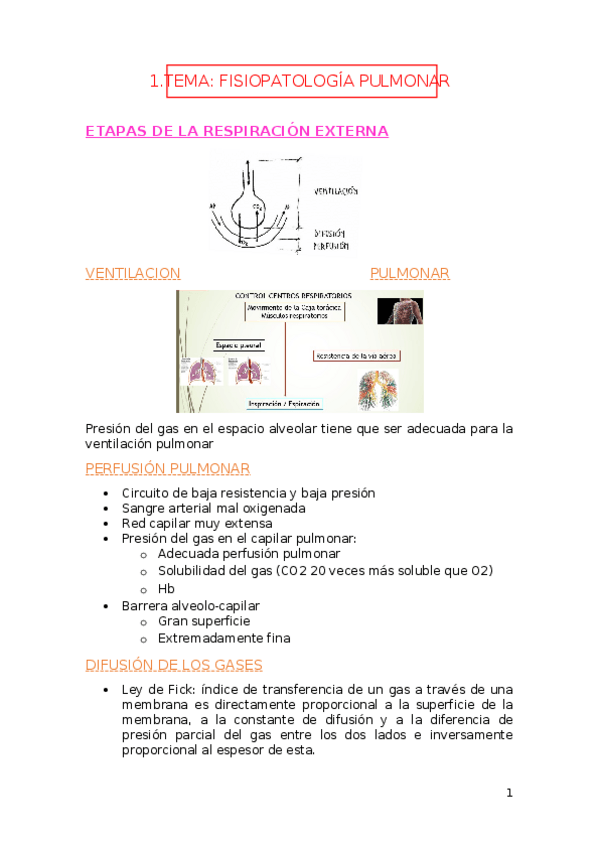 Miniatura del documento APUNTES-NEUMOLOGIA-22-23.docx