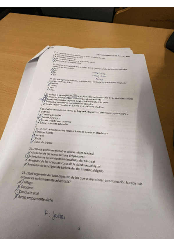 Miniatura del documento ordinaria 22.pdf