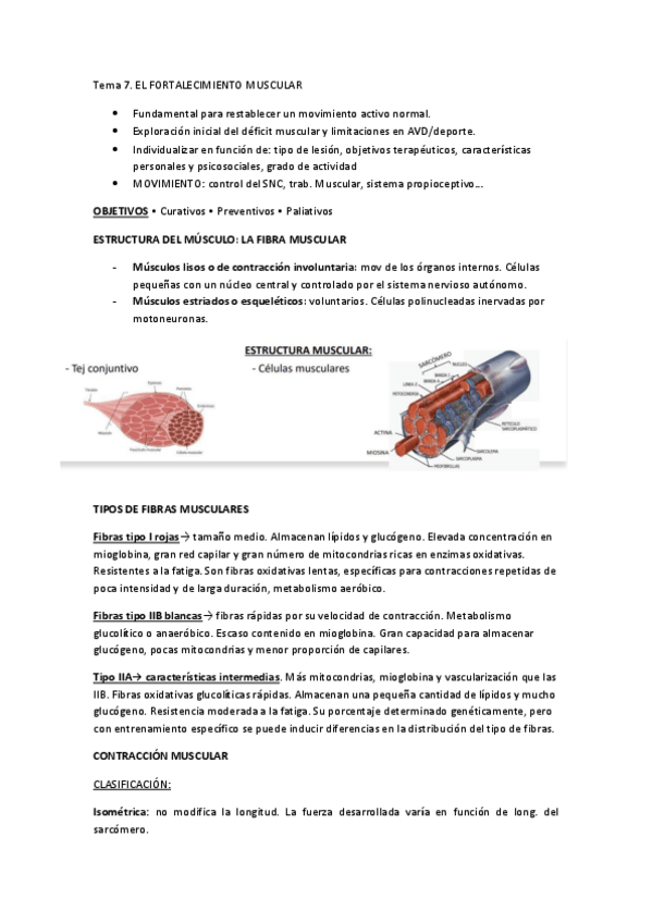 Miniatura del documento Tema-7-cinesiterapia.pdf