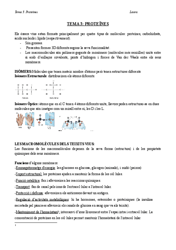 Miniatura del documento Bio-T3-teoria-Proteines.docx.pdf