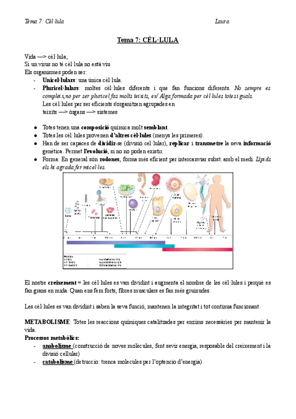 Miniatura del documento Bio-T7-teoria-CELLULA.docx.pdf