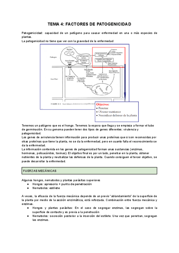 Miniatura del documento TEMA-4-FACTORES-DE-PATOGENICIDAD.-FUERZAS-MECANICAS.pdf