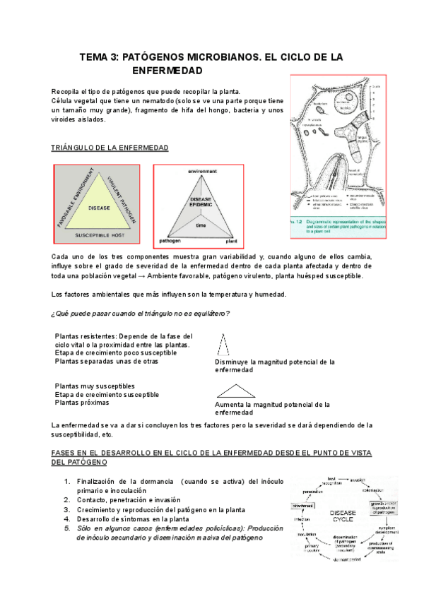Miniatura del documento TEMA-3-PATOGENOS-MICROBIANOS.-CICLO-DE-LA-ENFERMEDAD.pdf