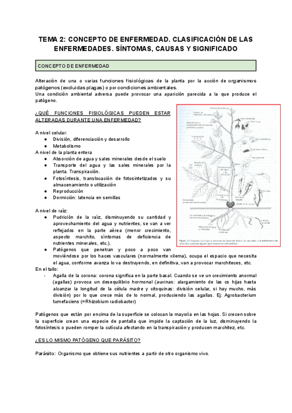 Miniatura del documento TEMA-2-CONCEPTOS-DE-ENFERMEDAD.-SINTOMAS-CAUSAS-Y-SIGNIFICADO.pdf