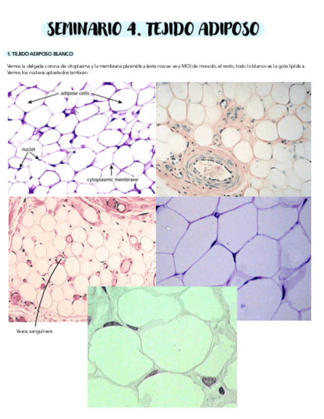 Miniatura del documento SEMINARIO-4.pdf