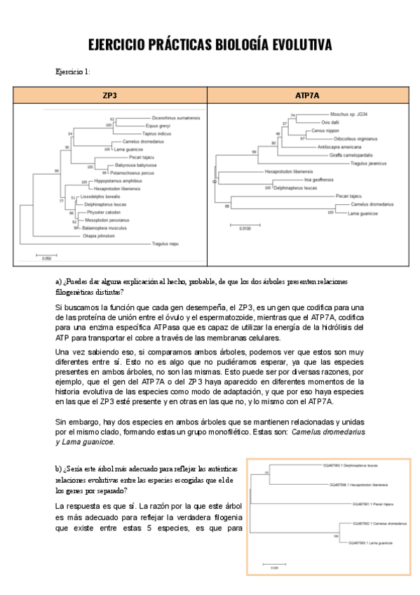 Miniatura del documento Ejercicio-practicas-biologia-evolutiva-Documentos-de-Google.pdf