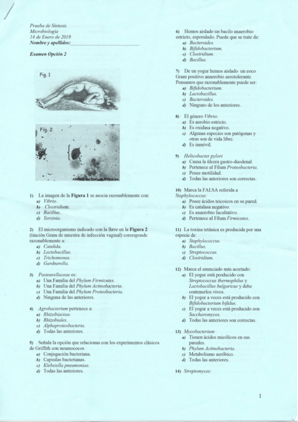 Miniatura del documento EXAMEN-202021.pdf