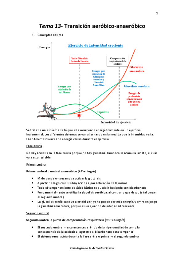 Miniatura del documento Tema 13- Transición aeróbico-anaeróbico.pdf