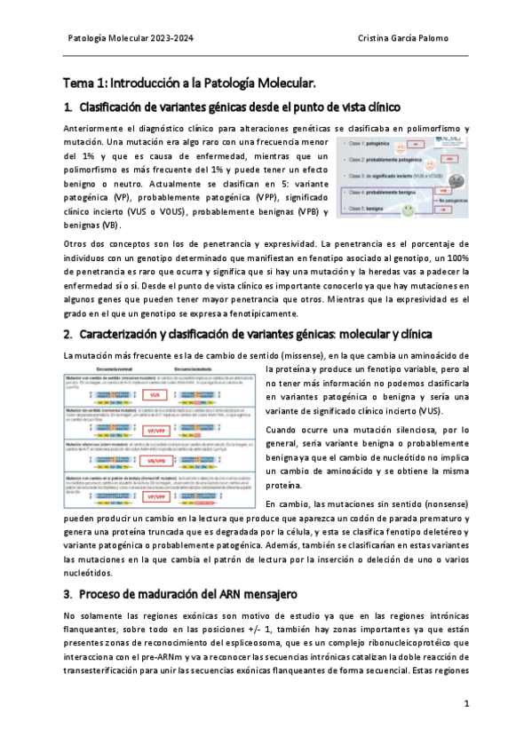 Miniatura del documento Tema 1 patología.pdf