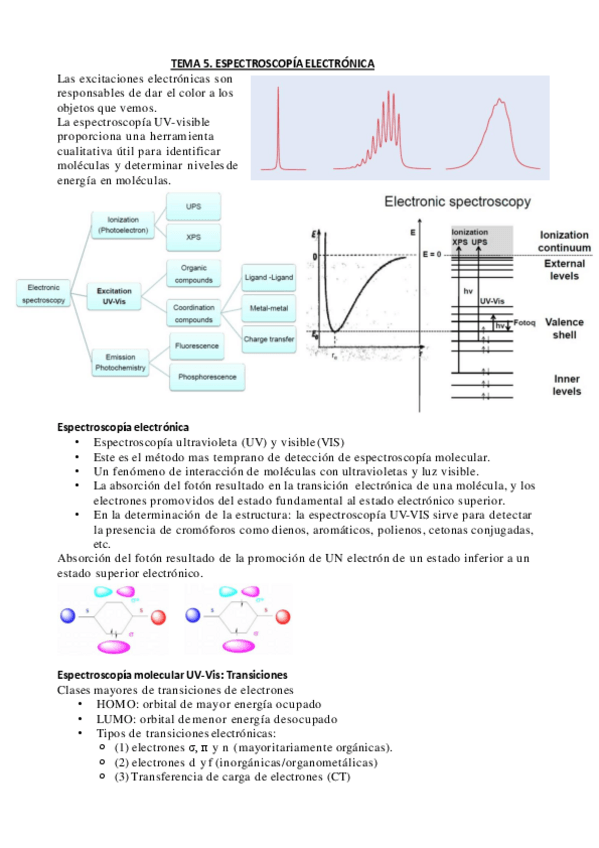 Miniatura del documento Tema-5-traducido.pdf