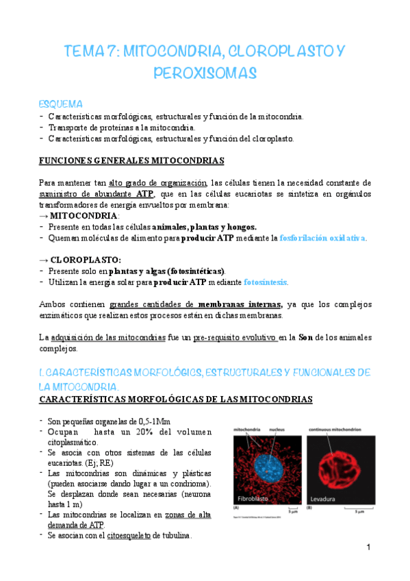 Miniatura del documento T7.pdf