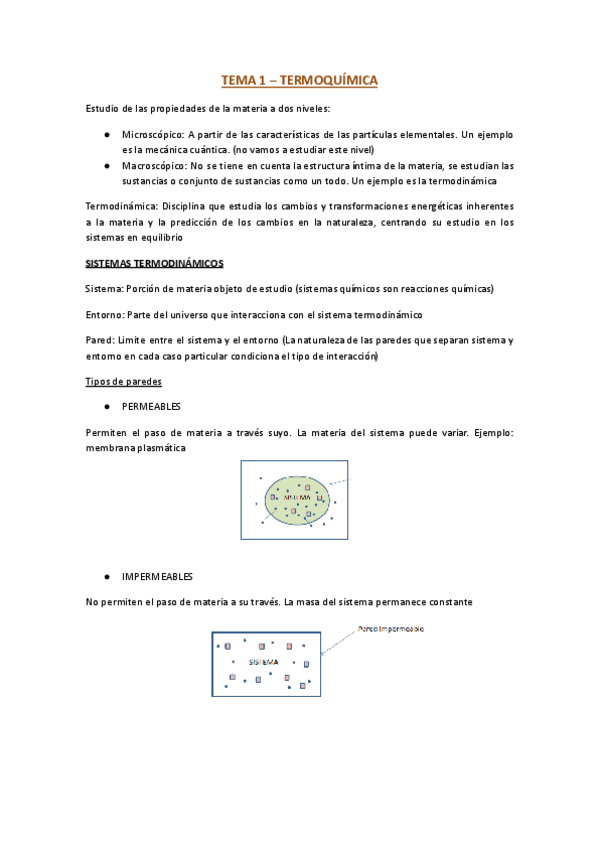 Miniatura del documento TEMA-1.docx.pdf