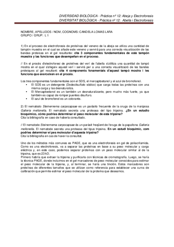 Miniatura del documento Pr12LOMASLARACANDELA.docx