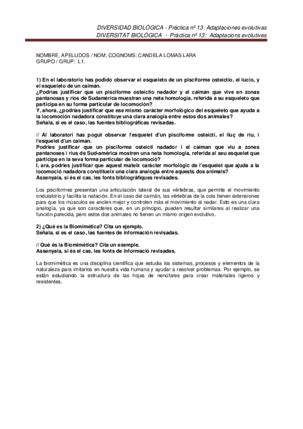 Miniatura del documento Pr13LOMASLARACANDELA.docx