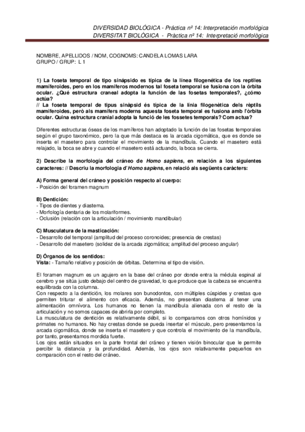 Miniatura del documento Pr14LOMASLARACANDELA.docx