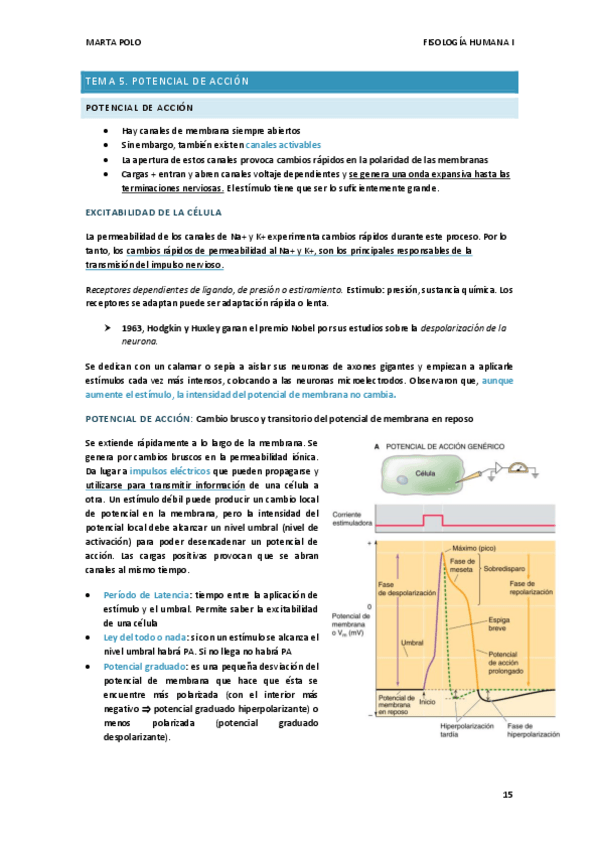 Miniatura del documento TEMA-5.-FISIO-I.pdf