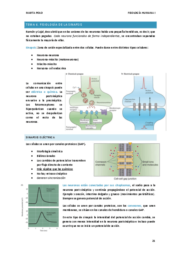 Miniatura del documento TEMA-6.-FISIO-I.pdf