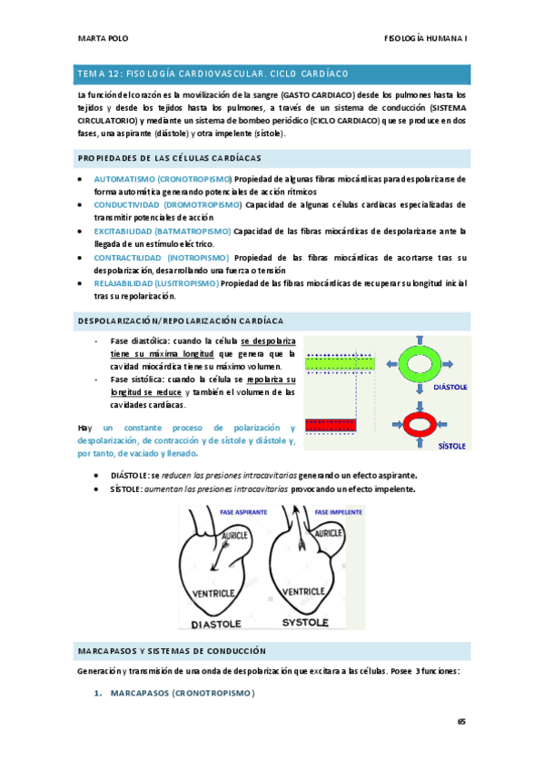 Miniatura del documento TEMA-12.-FISIO-I.pdf