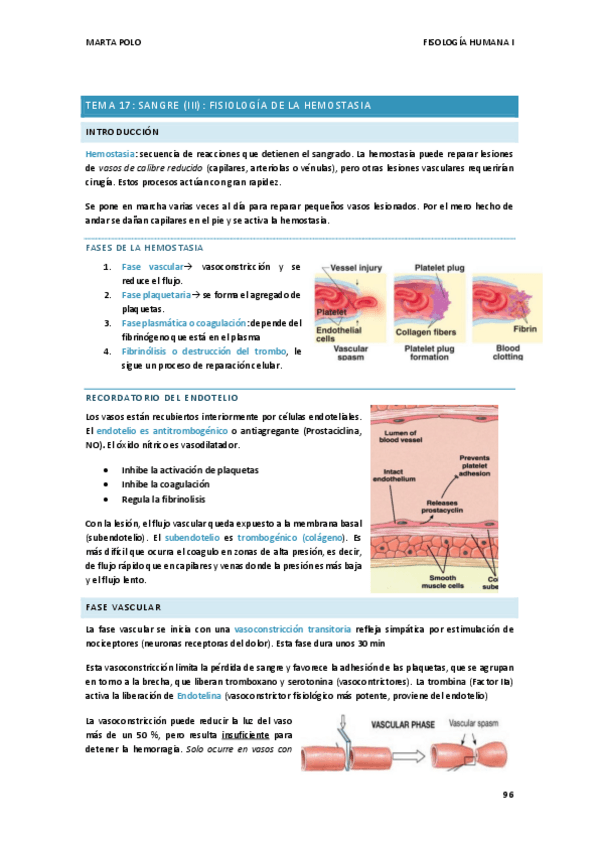 Miniatura del documento TEMA-17.-FISIO-I.pdf