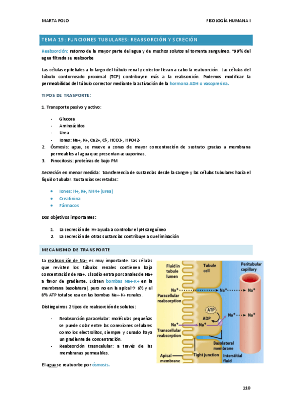 Miniatura del documento TEMA-19.-FISIO-I.pdf