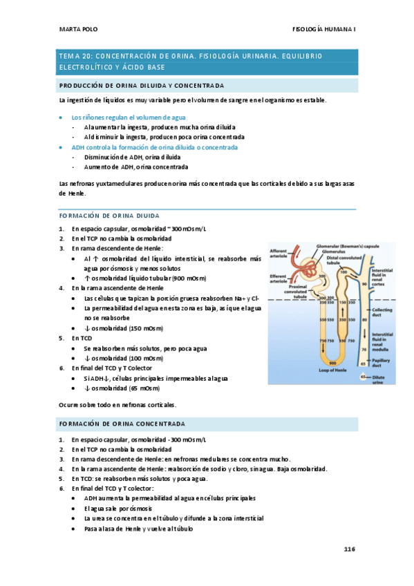 Miniatura del documento TEMA-20.-FISIO-I.pdf