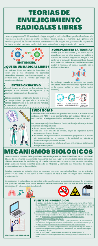 Miniatura del documento INFOGRAFIA-TEORIAS-ENVEJECIMIENTO.pdf