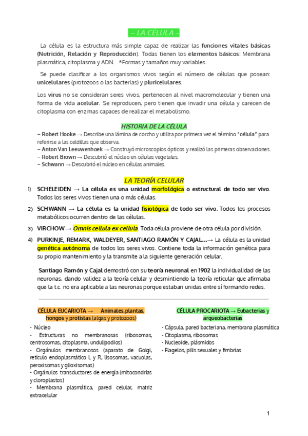 Miniatura del documento CELULA PROCARIOTA (10 EVAU biologia).pdf